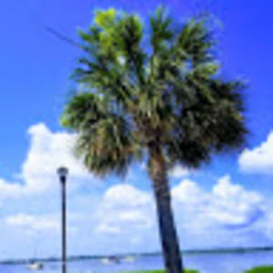 Meet your Posher, Emiela